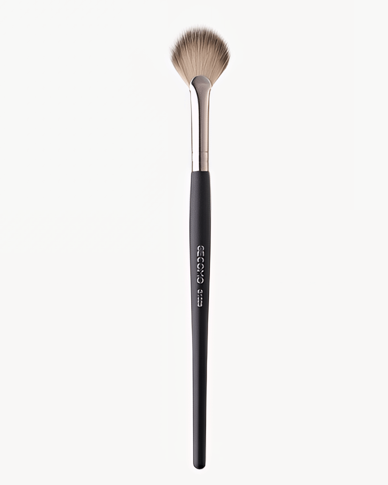 Fan Blush and Highlighter Brush